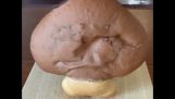 A “Goomba” خبز