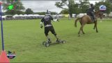 La pensione a cavallo è un vero sport