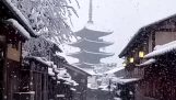 Snefald i Kyoto omvendt…