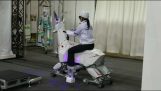 Japanese robotic goat