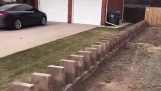 Domino brick laying trick