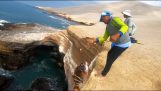 ペルーの崖の上の漁師 (カマナ)