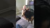 嬰兒和狗玩耍
