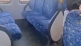 Sitzplätze in australischen Zügen