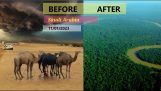 乾燥した砂漠がサウジアラビアの緑のオアシスに変わる