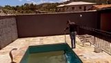 Nettoyage du fond de la piscine