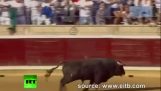 Bull climbs on arena stands