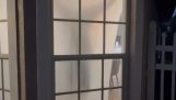 Gruselige Projektionen auf ein Fenster