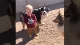 嬰兒第一次和狗玩耍