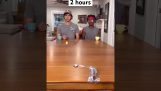 How long do trick shots take?