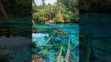 Klarheit des Wassers am Paisupok-See in Indonesien