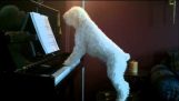 Câinele care joacă pian şi cântă