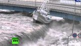 Нове відео від цунамі в Японії