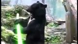 O urso Jedi 