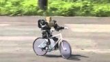 Roboţi care face ciclism