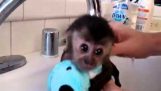 Badkamer in kleine aap