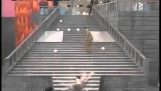 Japán game show: A lépcsőn