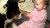 Baby feeding the dog