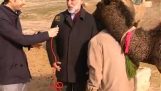 O amor em camel interrompe a entrevista