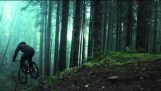 Hegyi kerékpározás az erdőben
