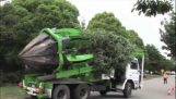 Come trasferire un albero