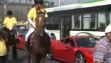 Calul care urăşte Ferrari
