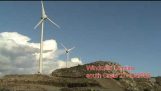 El accidente de un buitre en turbinas de Creta