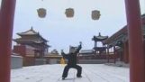 Tappavia aseita Kung Fu: Köysi Dart & Meteor vasara