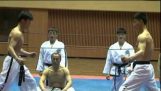 Demostración de artes marciales en b. Corea