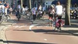 La bike d'Olanda