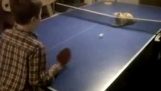 Kedi oyun ping pong