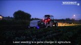 De toekomst van de landbouw gemaakt in Letland