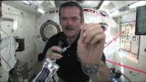 How do you wash your hands in space;
