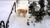 Ťažkosti v snehu