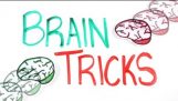 Πως λειτουργεί ο εγκέφαλός μας;