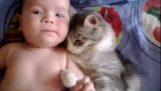 Katten og babyen