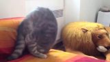 Акробатика шоу от нинджа котка