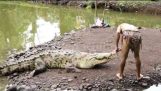 Mój przyjaciel krokodyl