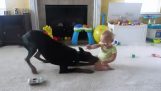 Το μωρό και το ντόμπερμαν παίζουν μαζί