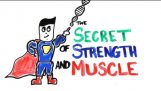Тайната наука на мускулния растеж