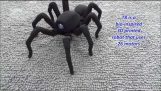 Robotický pavúk