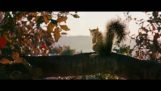 Eichhörnchen-Mörder in Horror-Film