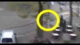 Cyklist sparar från fallande träd under stormen