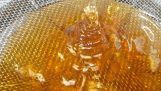 The export of honey