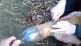 Bir plastik şişe köpek kurtarma