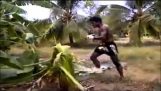 Muay Thai obuku na Tajlandu