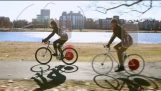 Copenhagen hjulet