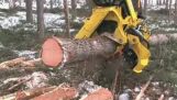 Logs de máquina de corte avançado