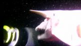 Goblin ajkula, Jedan od ljubazan snimak ometanje