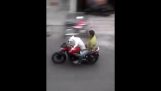 Cachorro motoqueiro ataca novamente